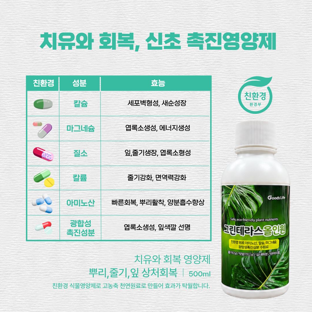 그린테라스 올인원 안내 2