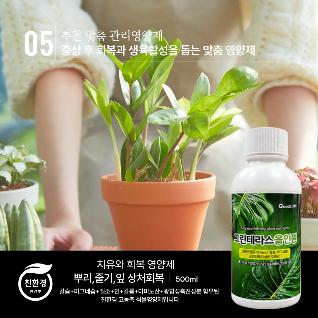그린테라스 올인원 안내 3