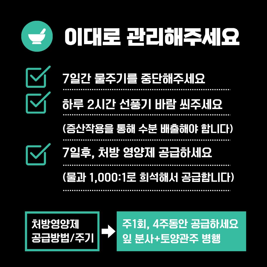 쑥쑥잘자라 안내 4