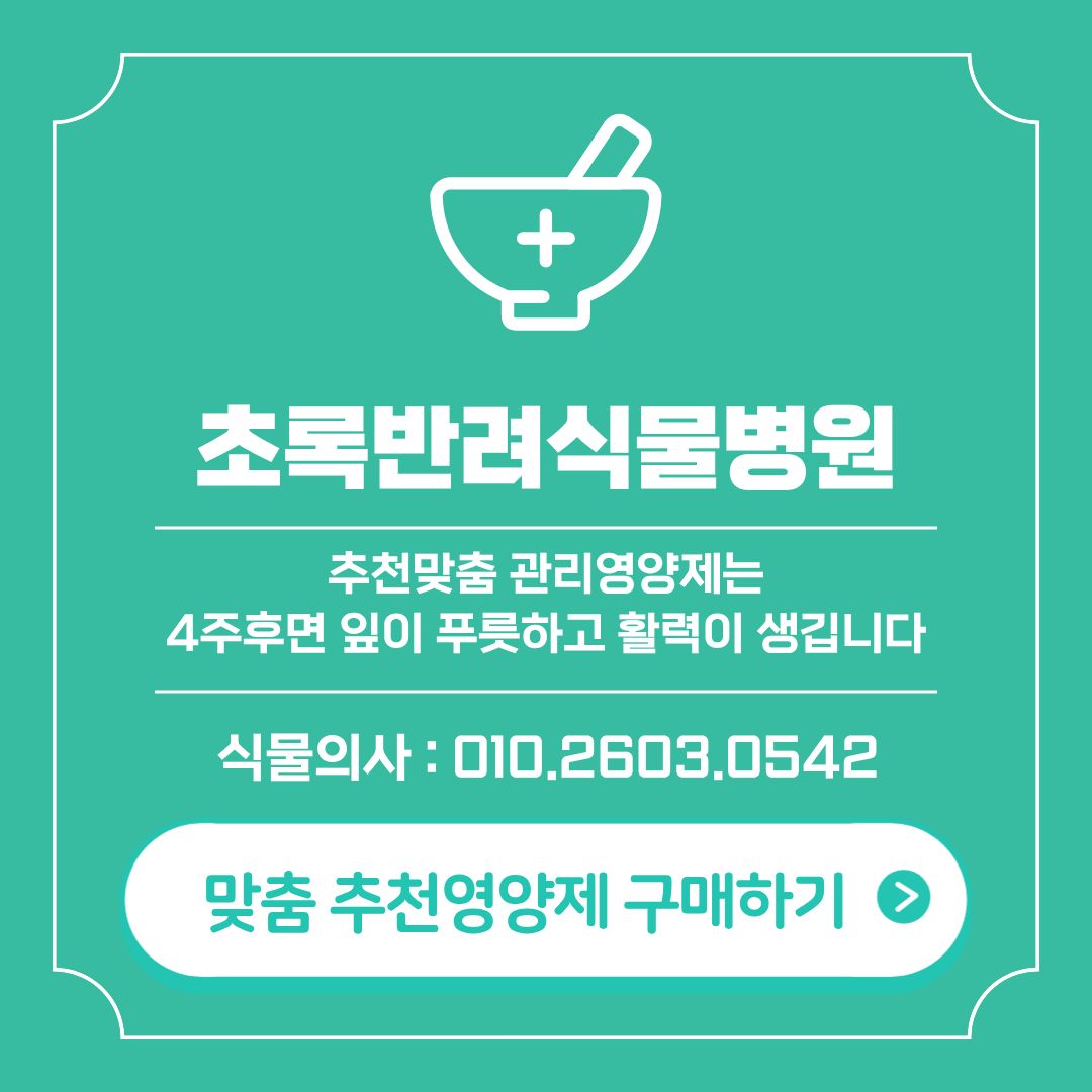 쑥쑥잘자라 안내 6